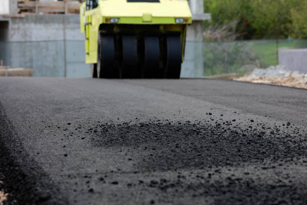 Best Custom Driveway Pavers  in Lake View, AL
