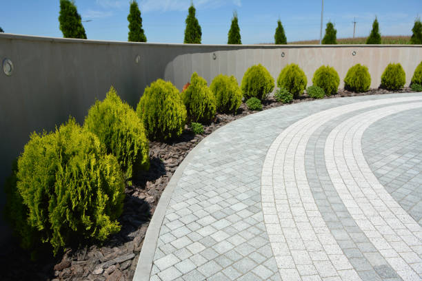 Best Commercial Driveway Pavers  in Lake View, AL